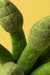 Jollytoy Amuseables Asparagus