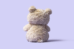 Jollytoy Bartholomew Bear Junior