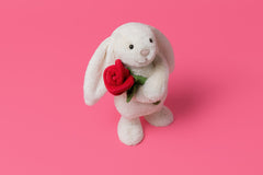 Jollytoy Cream Bunny with Rose
