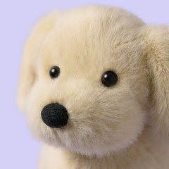 Jollytoy Golden Puppy