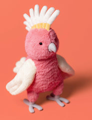 Jollytoy Squawkatoo