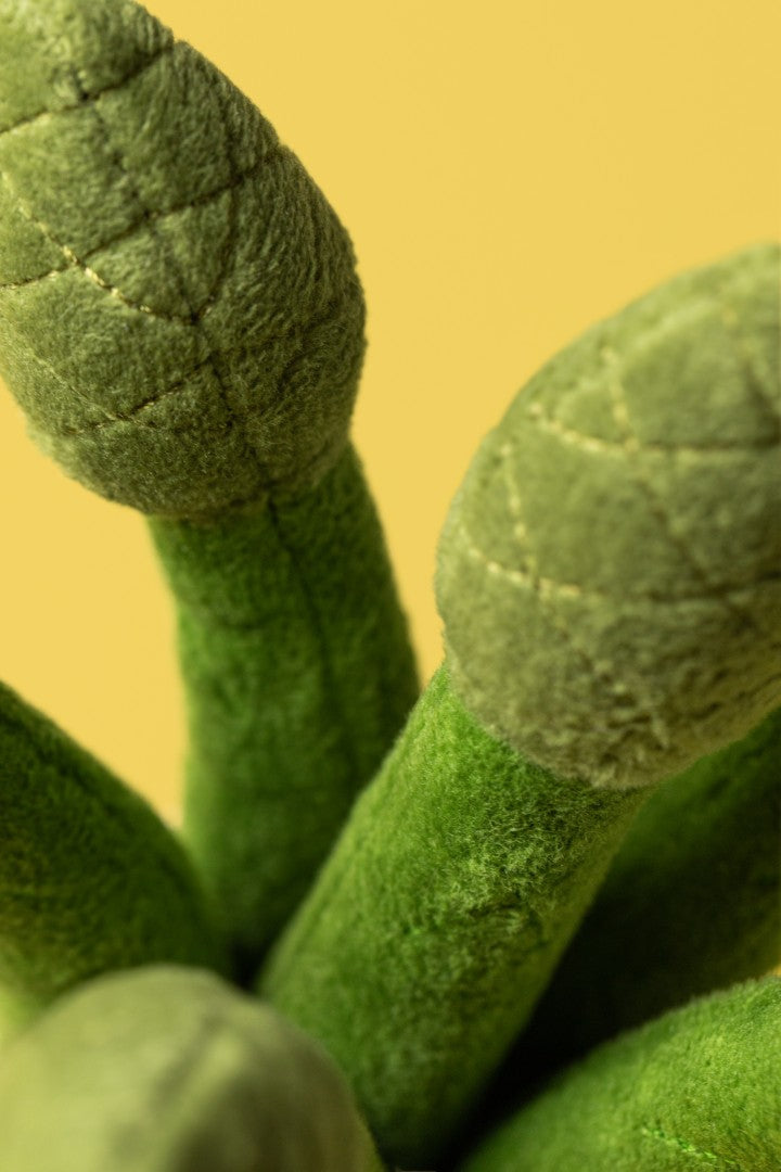 Jollytoy Amuseables Asparagus