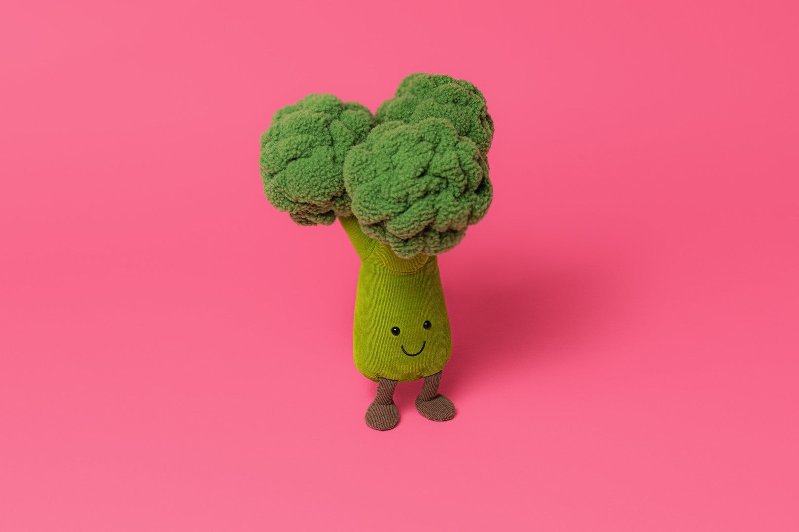 Jollytoy  Amuseables Broccoli