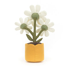 Jollytoy Amuseable Daisy