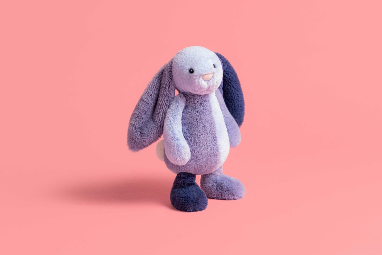 Jollytoy  Puddlesea Bunny