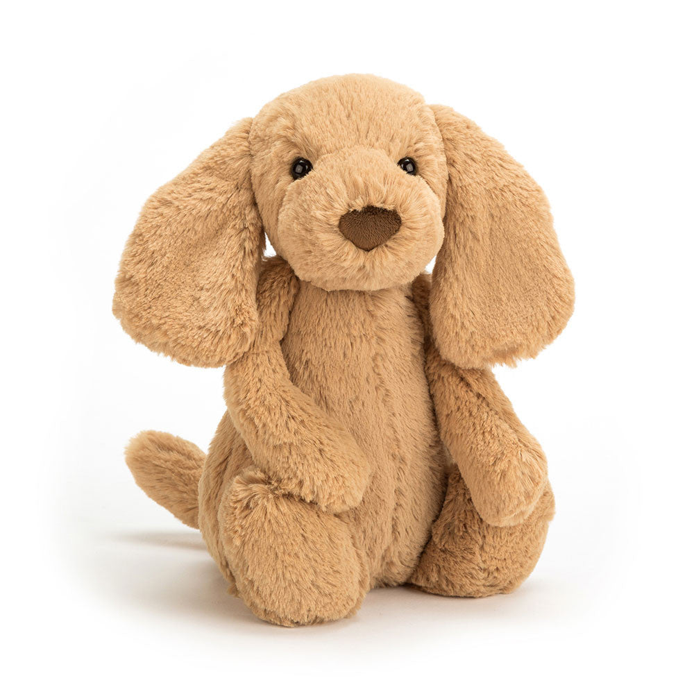 Jollytoy Bashful Toffee Puppy