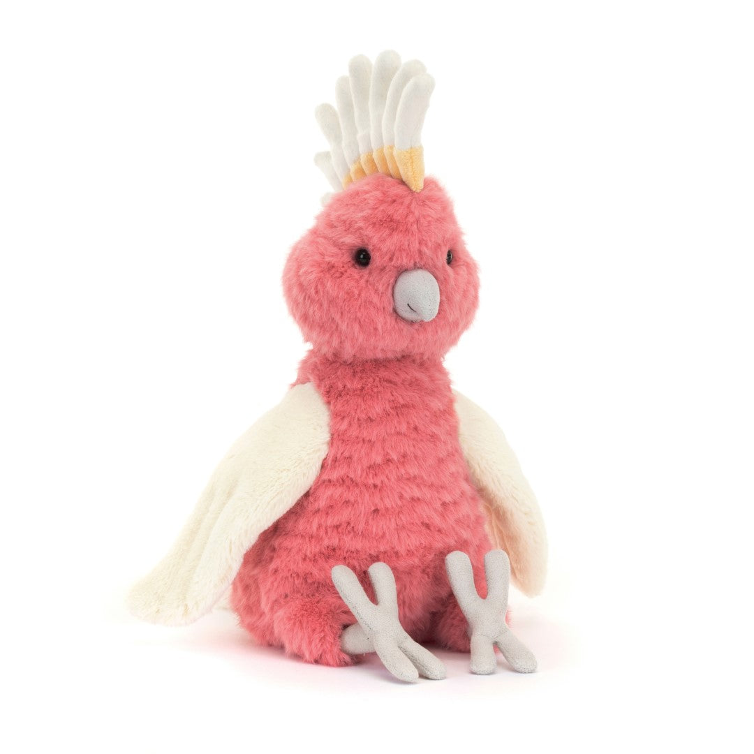 Jollytoy Squawkatoo