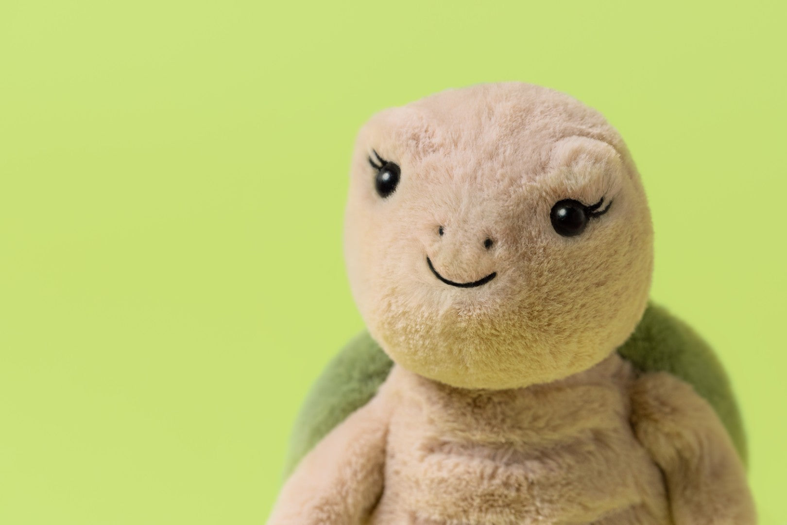 Jollytoy Thimble Turtle