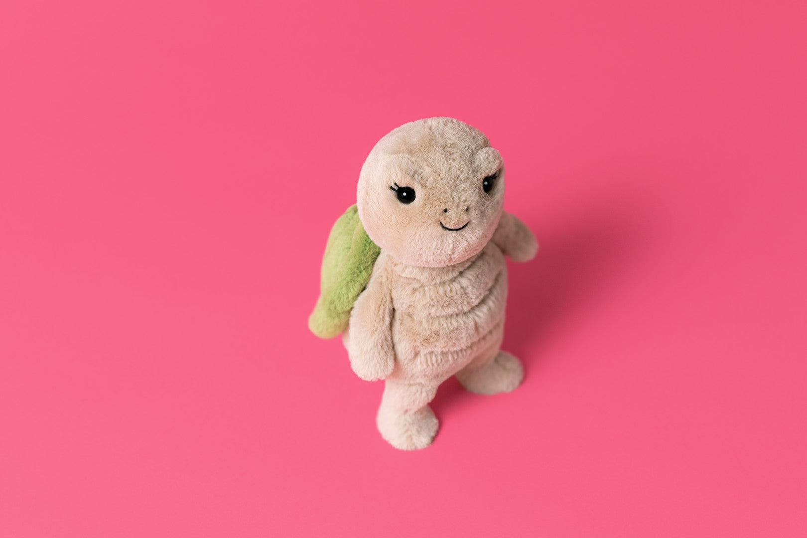 Jollytoy Thimble Turtle