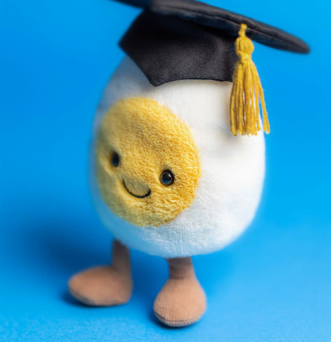 Jollytoy Amuseable Boiled Egg Graduation